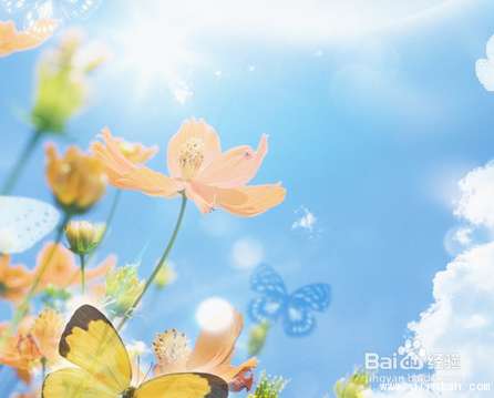 暑假旅游去哪里好