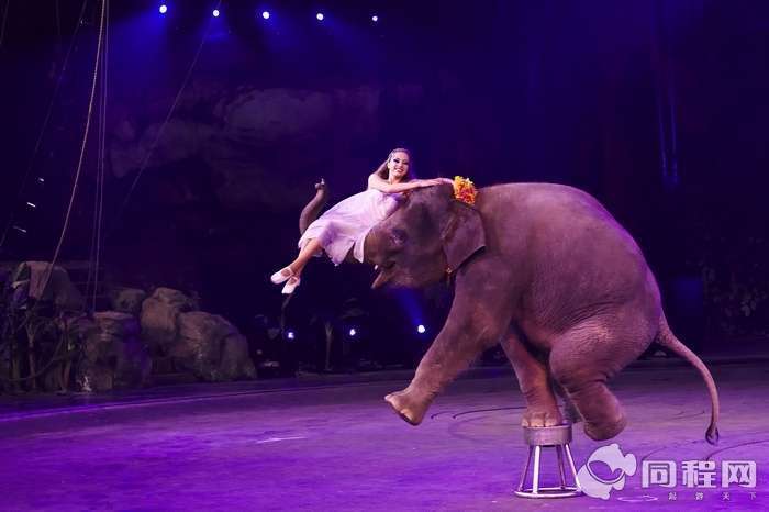 常州淹城野生動(dòng)物園