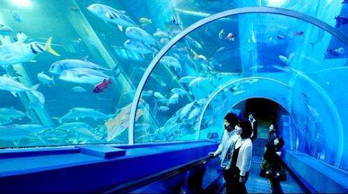 上海野生動(dòng)物園、科技館、都市風(fēng)光半自由行二