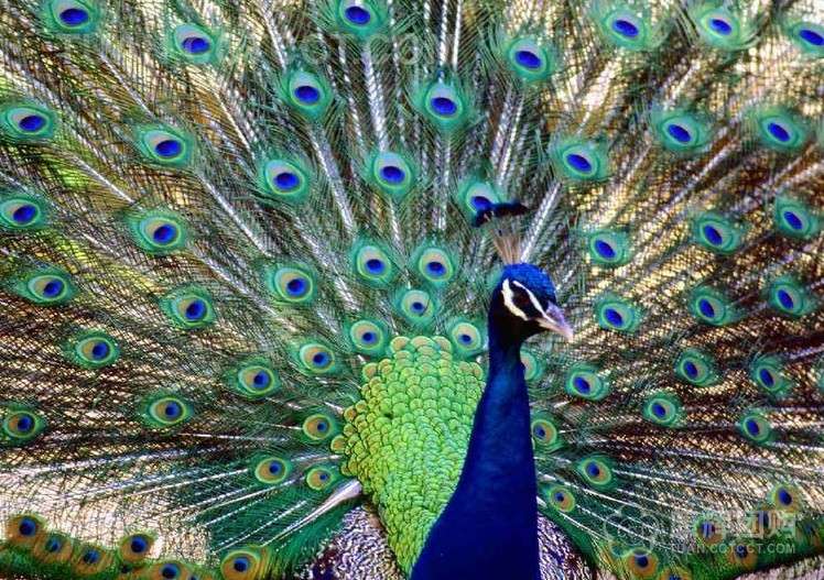 昆大麗香格里拉三飛六日游_金壇到麗江旅游價(jià)格