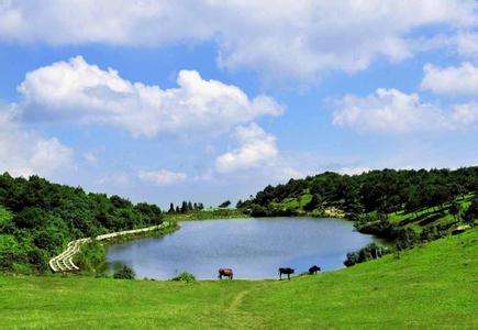 福建新景區(qū)，云端上的香格里拉—云頂歡迎您_金